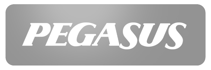 Pegasus